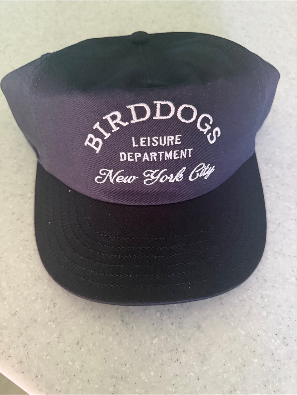 Birddogs Two-Tone Cap in Black & Navy with New York City Embroidery